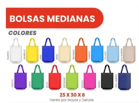 BOLSAS MEDIANAS 25X30X8