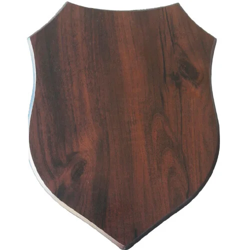 Escudo Madera SF
