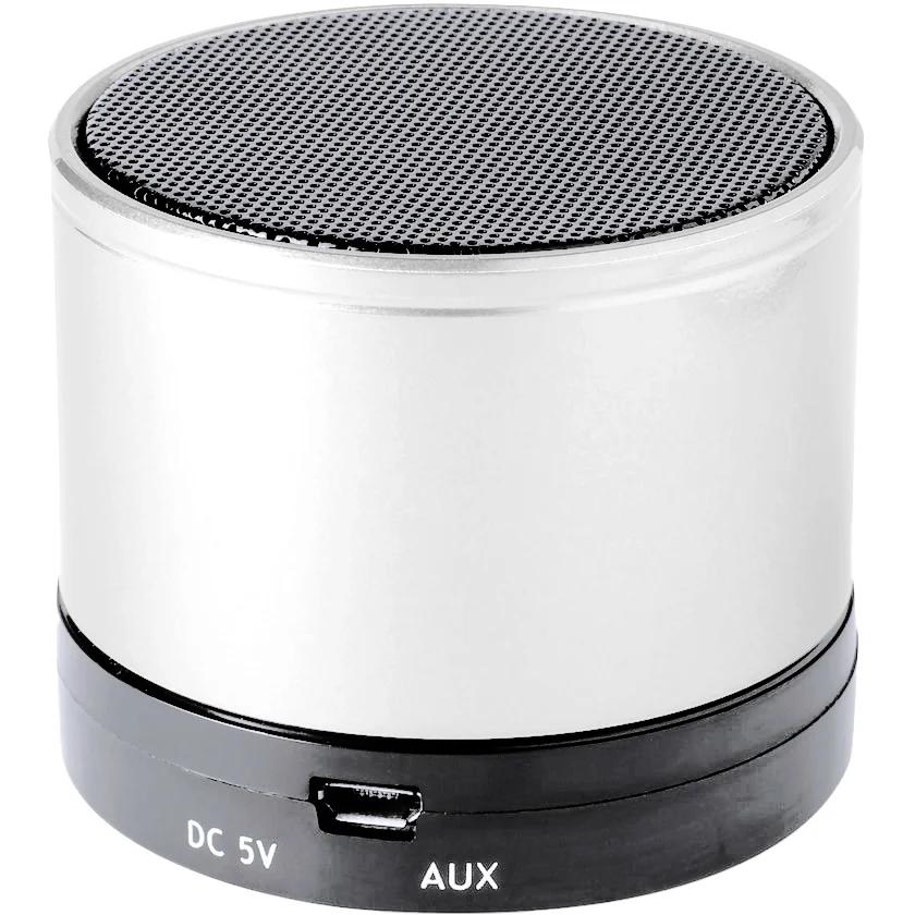 Altavoz Martins SK21
